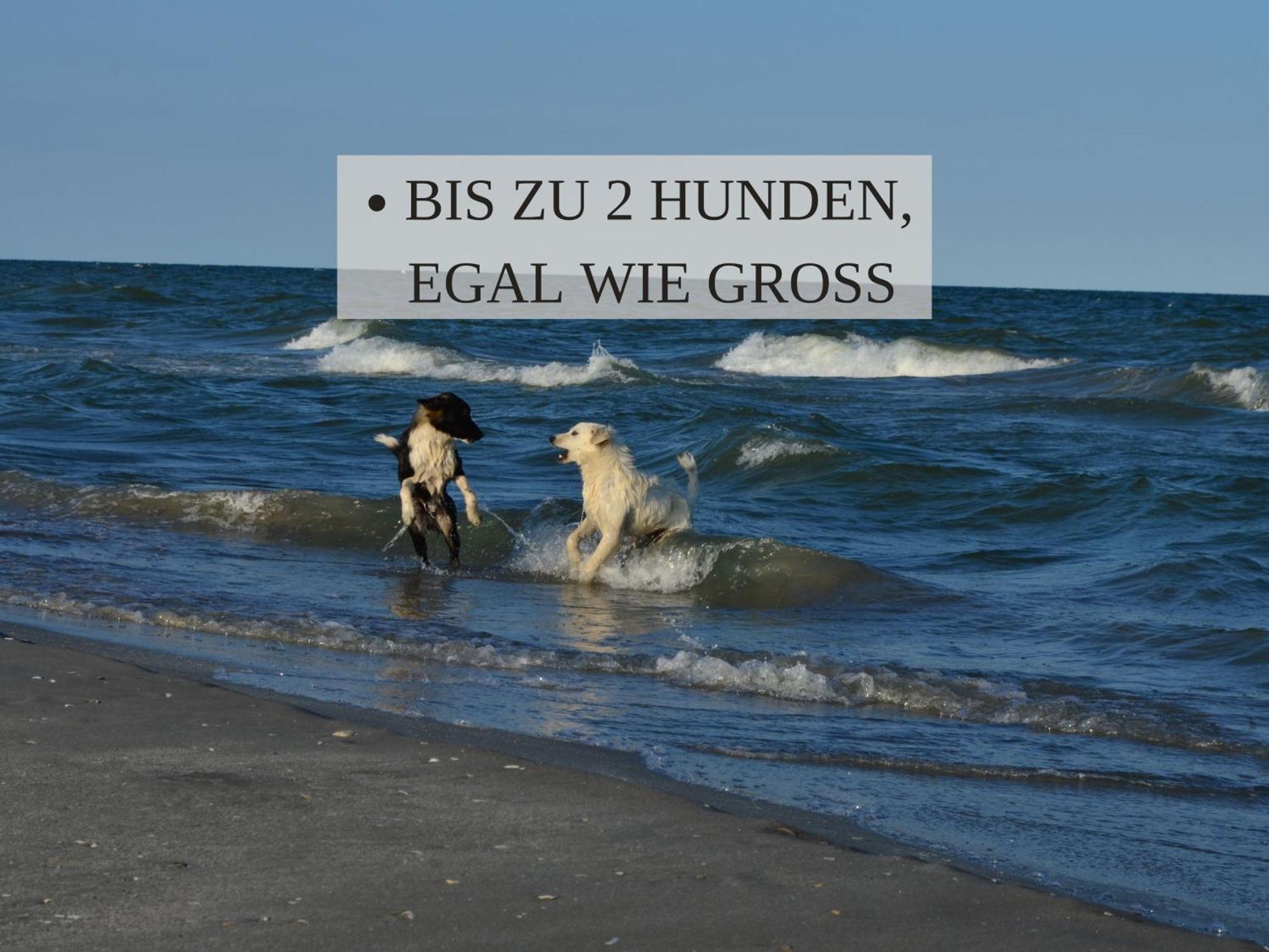 Haus Krabbe: Central Pet-Friendly Apartment Near Bremerhaven Wremen Exterior photo